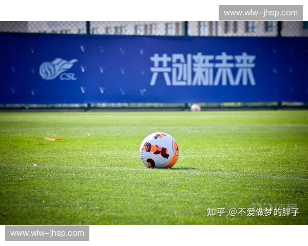 FSL足球联赛发展历程与未来展望：从地方赛事到国际舞台的崛起